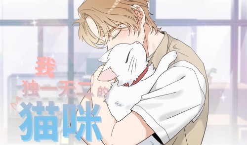 我独一无二的猫咪漫画封面