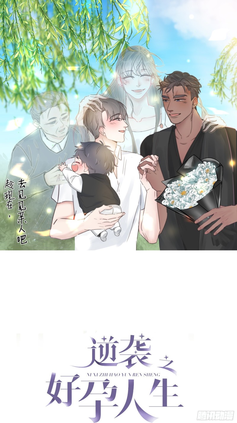 逆袭之好孕人生