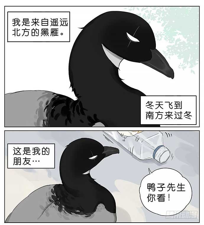 南方的鸟和北方的鸟 麻雀的鸟巢 在线漫画 腾讯动漫官方网站