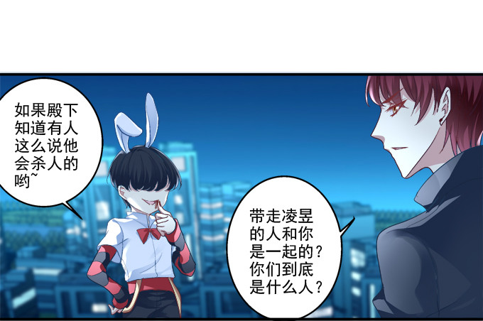 猫妖的诱惑