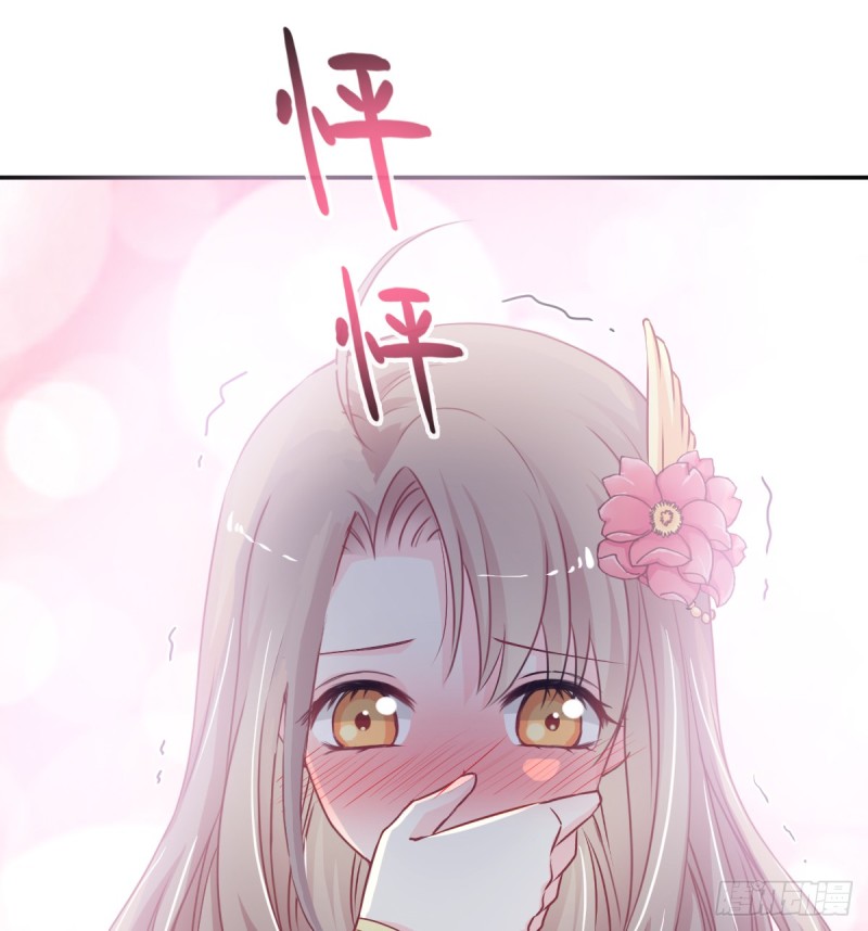 天下第一宠