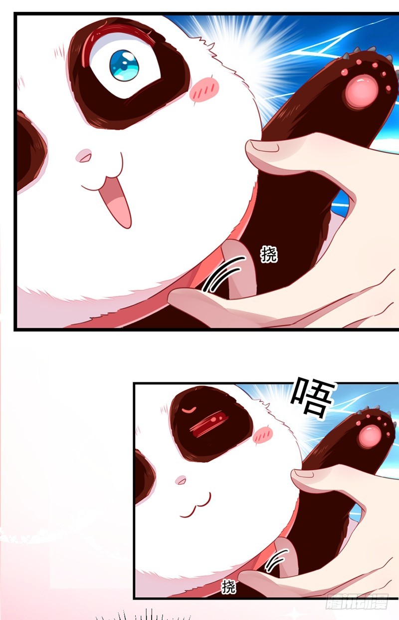 天降萌宝小熊猫:萌妃来袭 - 腾讯动漫