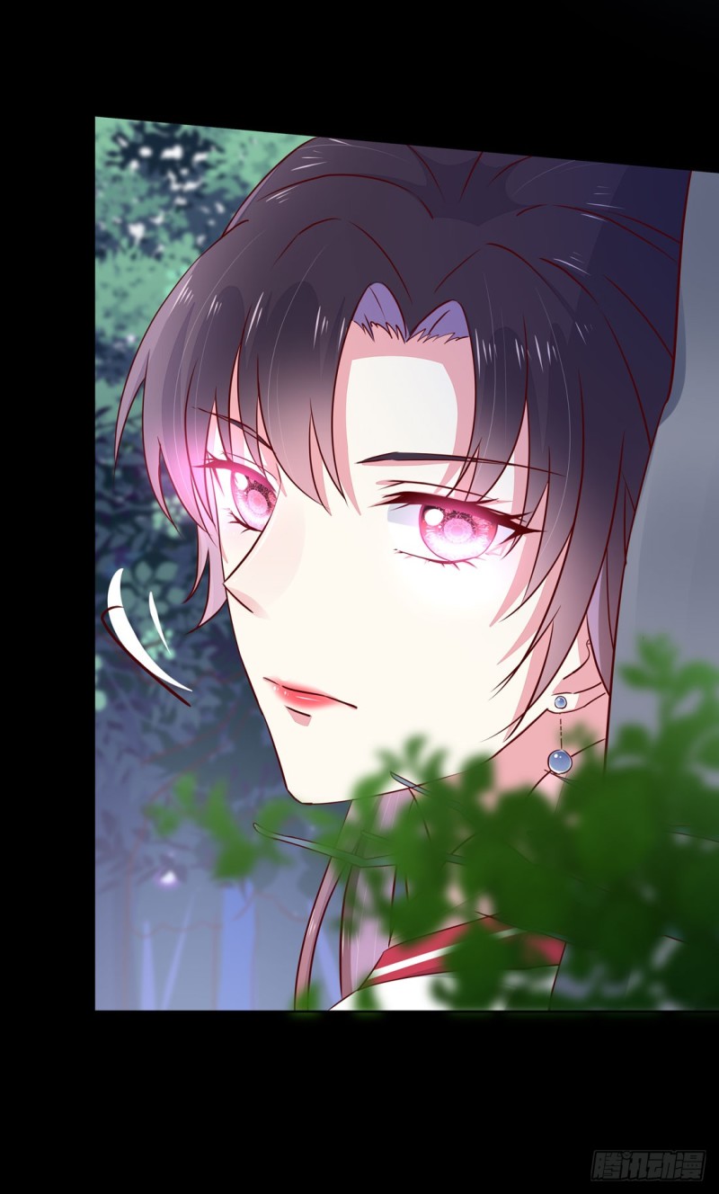 至尊瞳术师:绝世大小姐