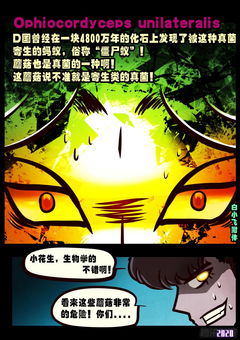 地球尽头