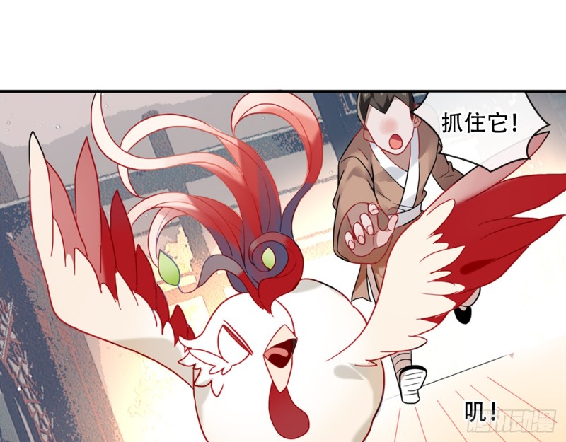 为探花郎的裴昀裴大将军与真身为龙的竟陵郡叶家长子叶铿然征战旅行