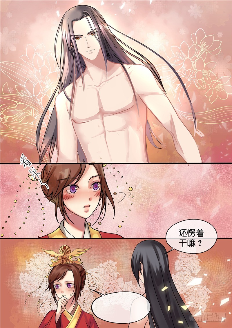 天才小毒妃(《芸汐传》原作)