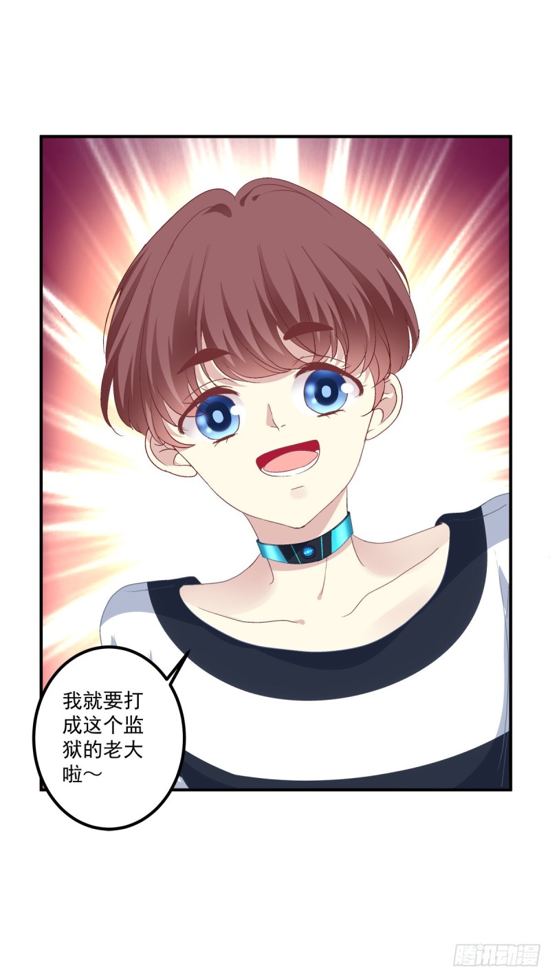 绝对掌控