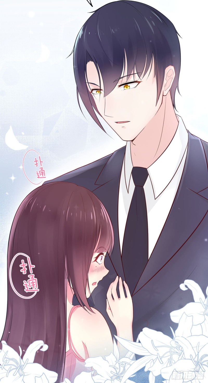 星动甜妻夏小星