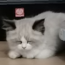 安宁易