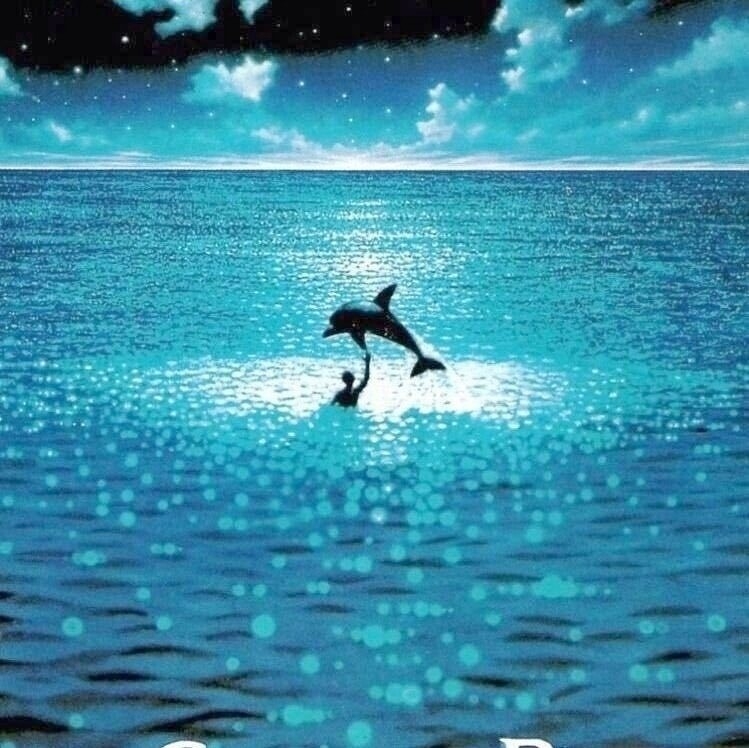 果果Indigo