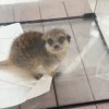 破界