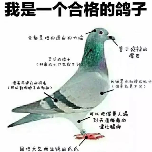 容衡