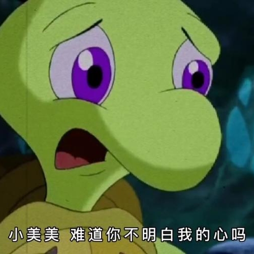 子雨