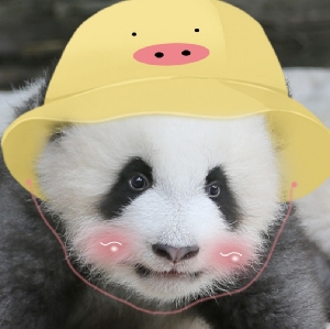 以梨Twinda
