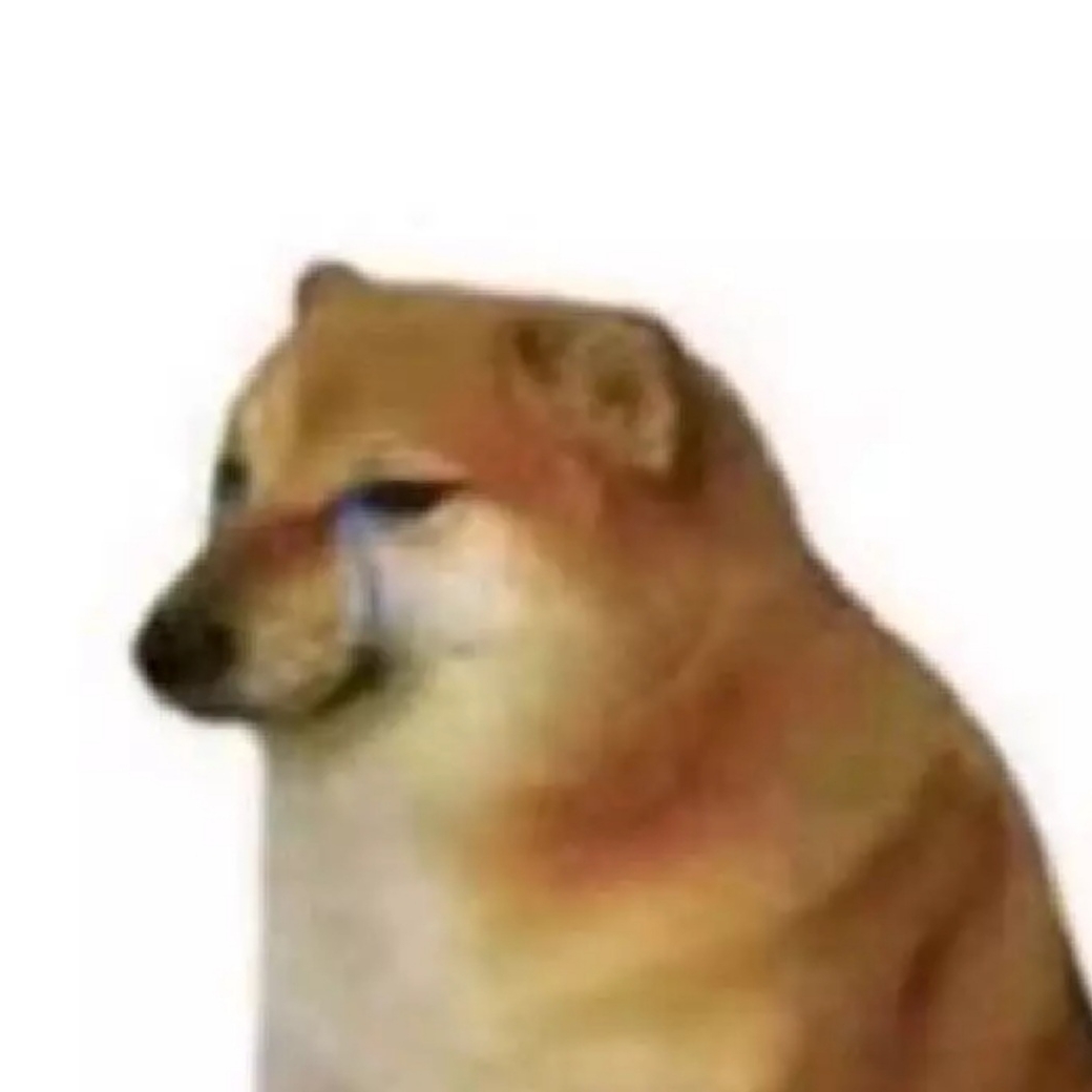 哈鱼