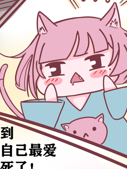 乞讨猫流浪兔
