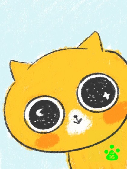 浓浓小猫味