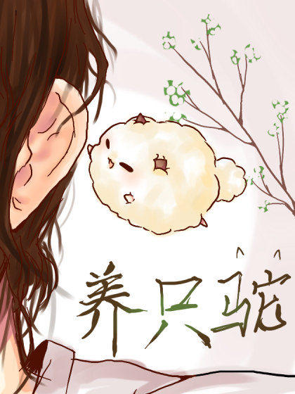 考虑养只驼吗