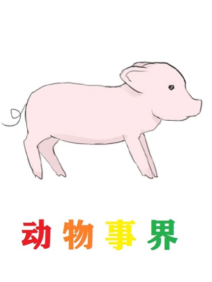 动物事界