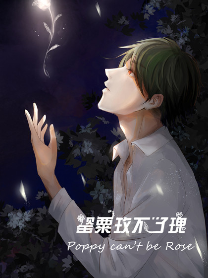 罂粟玫不了瑰