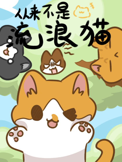 从来不是流浪猫