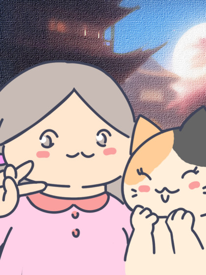 与猫同屋的奇妙日常