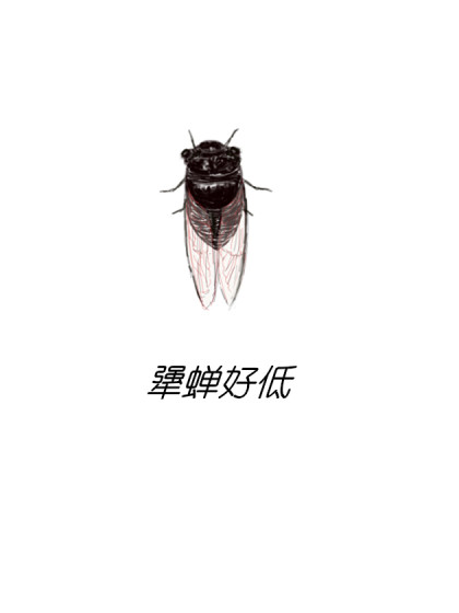 犟蝉好低